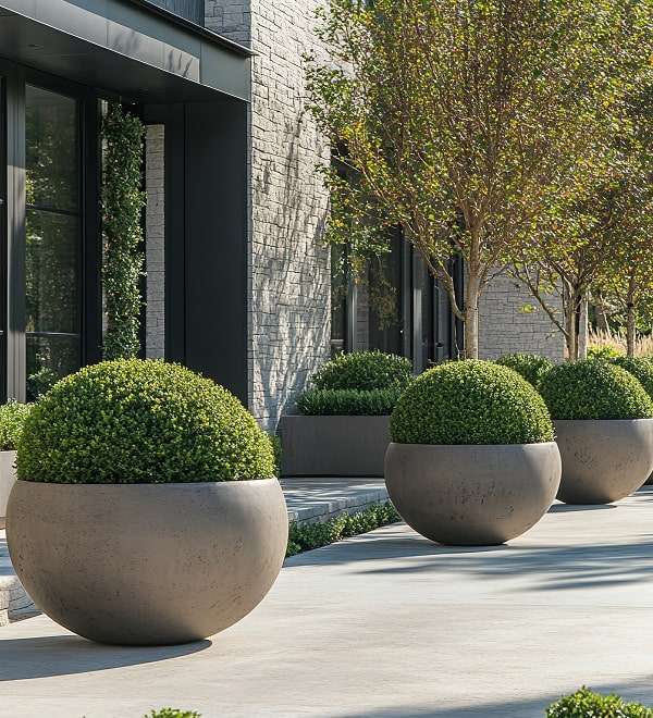 Professional-Commercial-Garden-Maintenance-Services Professional-Commercial-Garden-Maintenance-Services.jpeg
